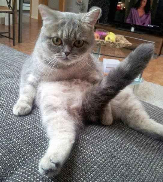Guys, my boudoir shoot!