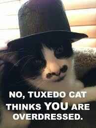 Ushers vs. Bridesmaids