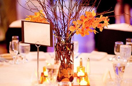 Centerpieces! Opinions/suggestions please (pics)