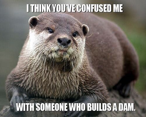 Tickled Tuesday