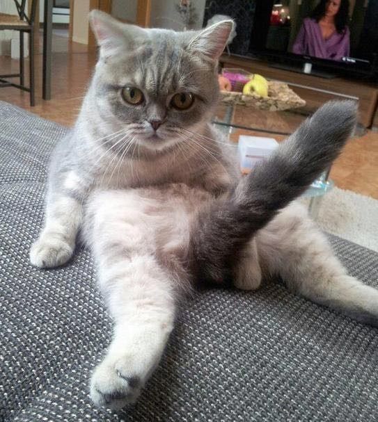 Guys, my boudoir shoot!