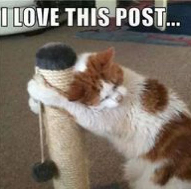 Compliment the User Above You