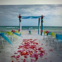 What colors did you choose for your wedding? - 2