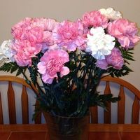 Spring Time Means...FLOWERS:)