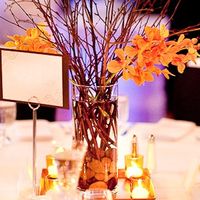 Centerpieces! Opinions/suggestions please (pics)