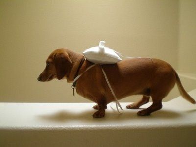 Let's put together a wedding!