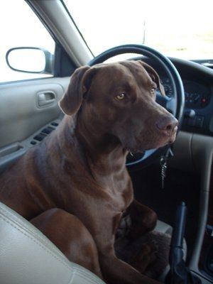 *NWR* Post pics of your furry (or not so furry) kids!