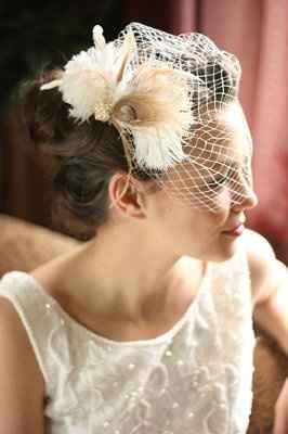 birdcage veils