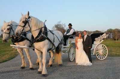 Cinderella Carriage....in  PA