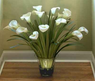 What's your favorite flower?