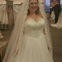 Vein on top of head or lower?? - 2