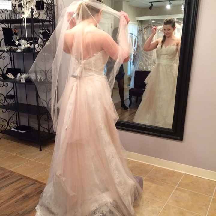 Blush Veil??
