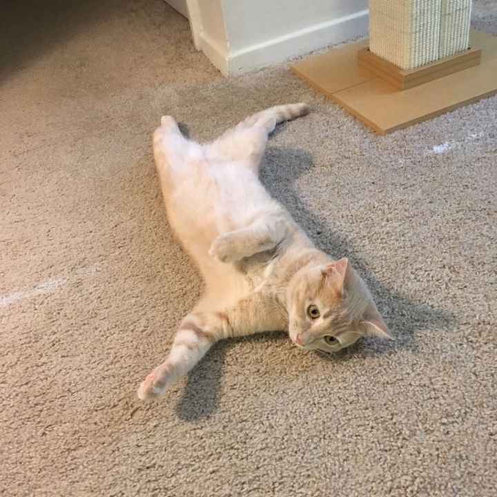 Technically I'm a mom too! Lol