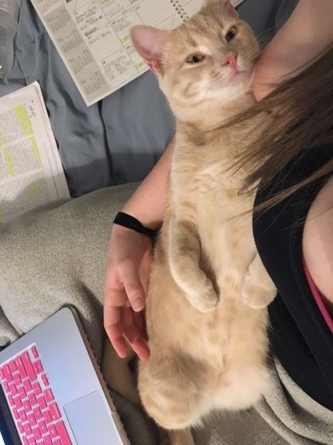 Sick and need cheering up--show me your Fur babies!