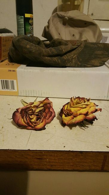 Bouquet preservation