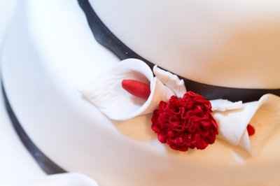 What did your cake look like? OR What will it look like?