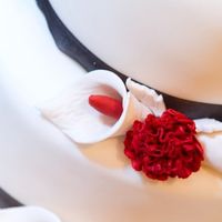 Show me your .........