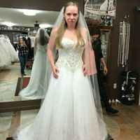 My dress is in!!