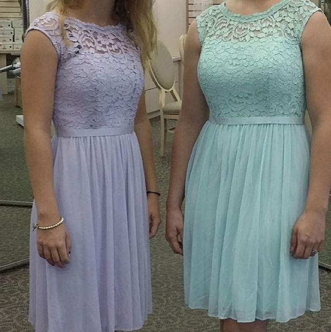 Show off your bridesmaid dresses! - 1