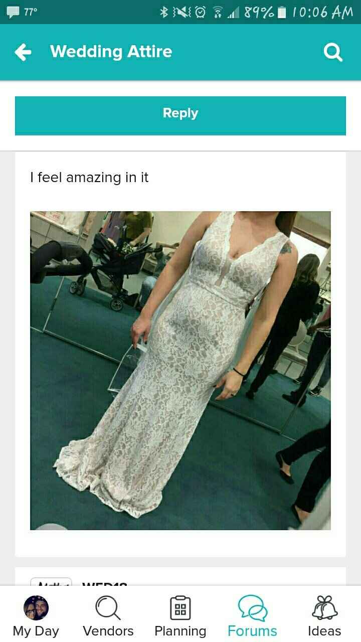 Veil or hair piece - 1