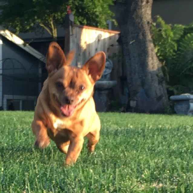 NWR: you and furbaby pic!