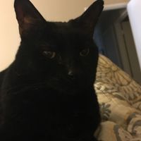 NWR: Show me your fur babies