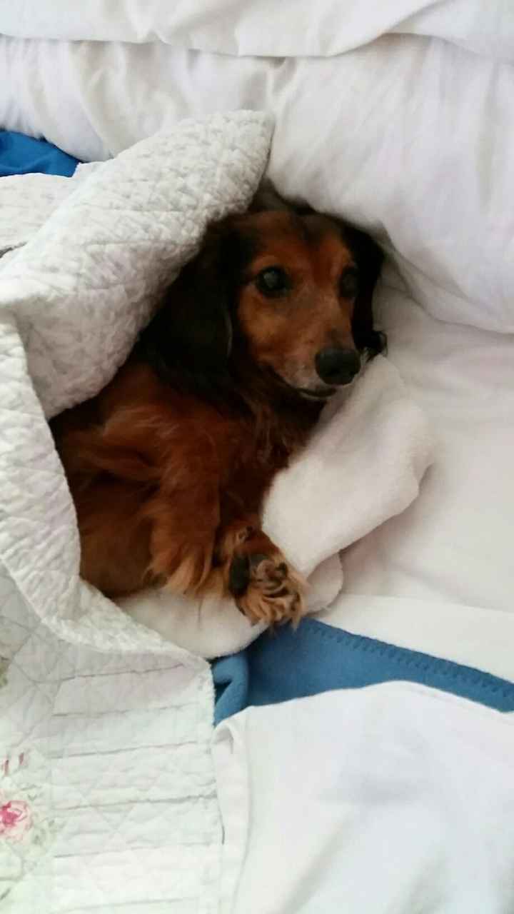 I LOVE my fur baby!