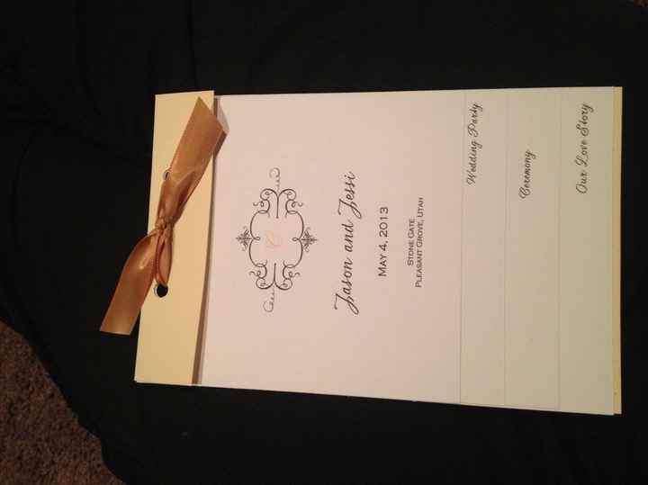 My Programs-DIY! {PICS}