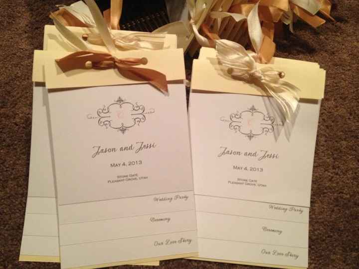 My Programs-DIY! {PICS}