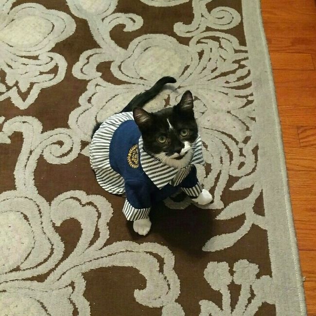 Sick and need cheering up--show me your Fur babies!