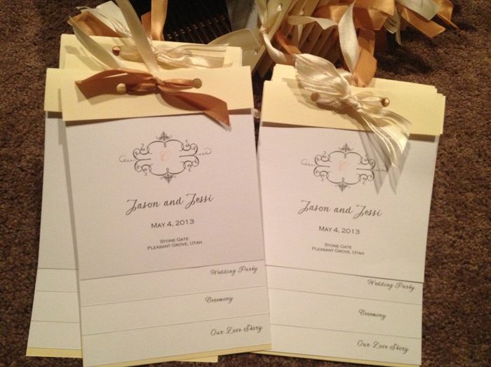 My Programs-DIY! {PICS}