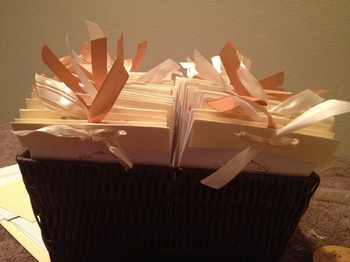 My Programs-DIY! {PICS}