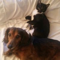 It's Fursday! Share the love!