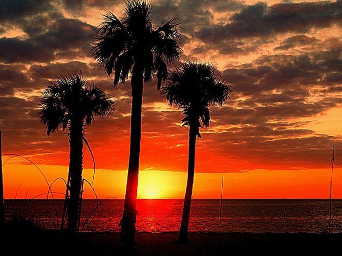 NWR - Prettiest picture of where you live.