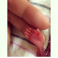 NWR- Asking for prayers