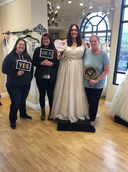 Saying Yes to the Dress