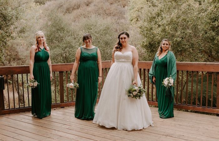 Bridesmid Dresses - 1