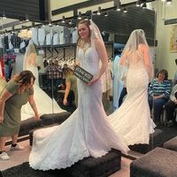 Dress/veil Combo - 1