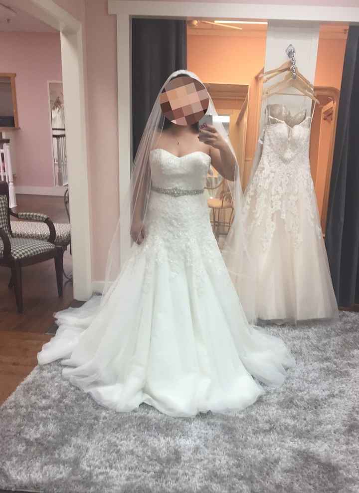 Need Help! I can't decide.....