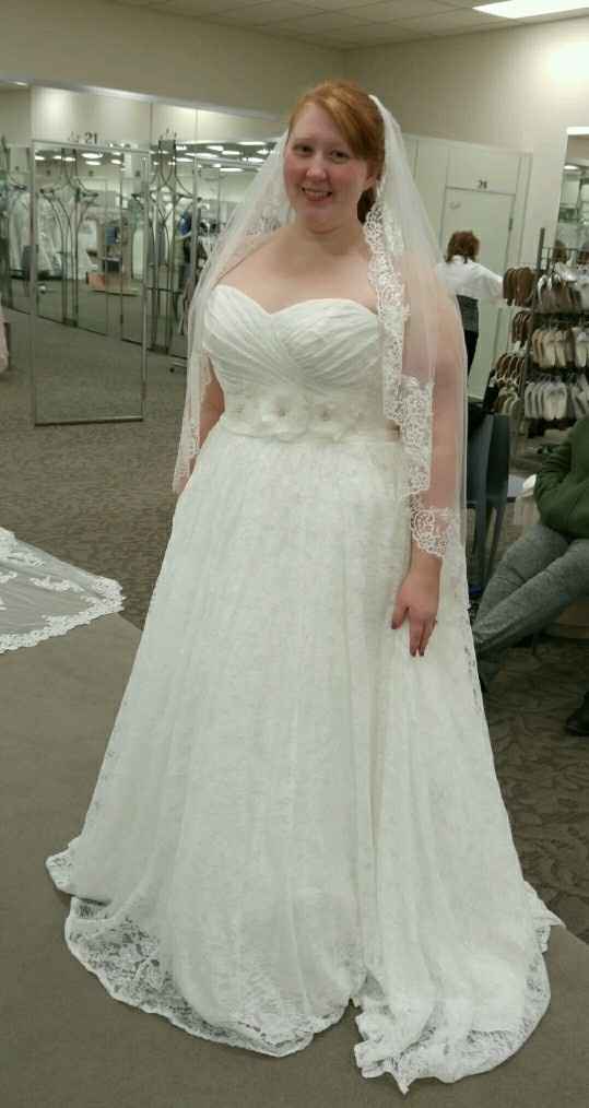Davids Bridal Dresses!