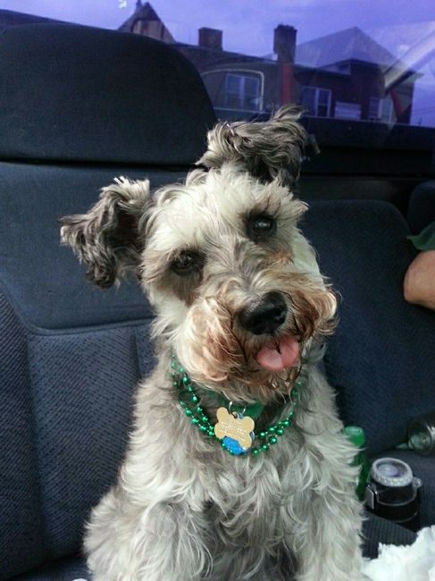 Let me see those fur babies!