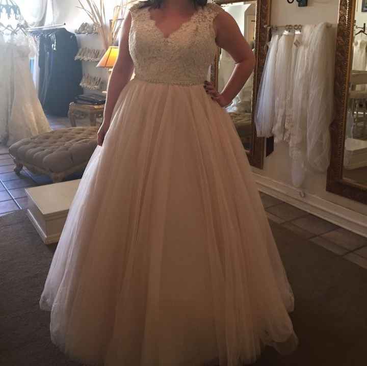 Blush wedding gown