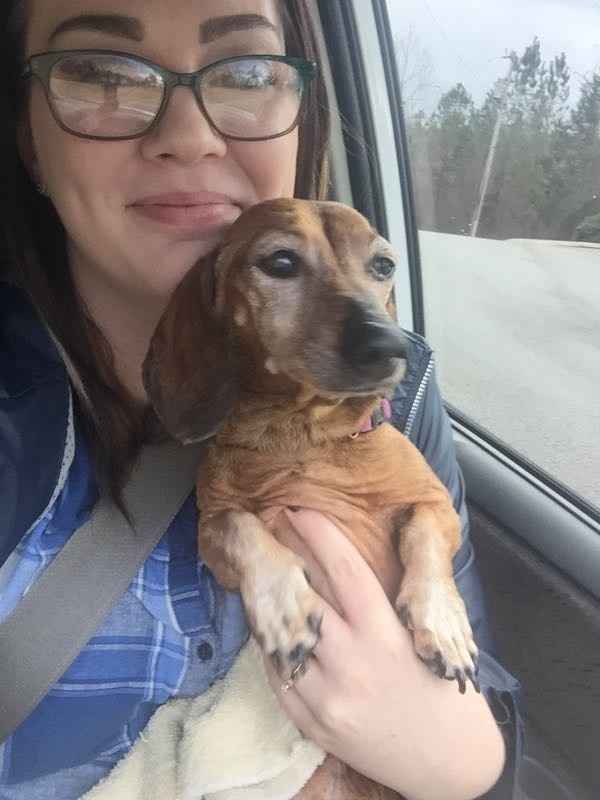 NWR: I rescued a puppy!