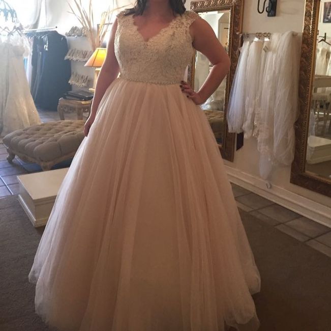 I found my dream dress!