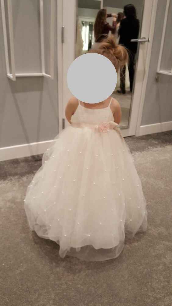 Ring bearer cheap tux david's bridal