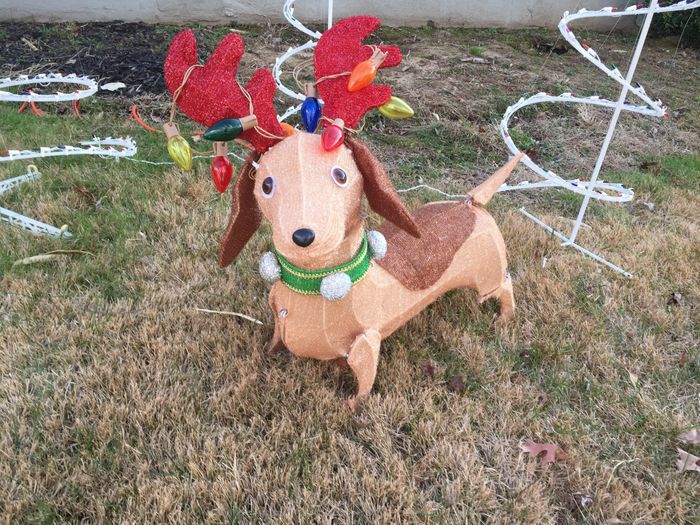 NWR Poll: Do you decorate your home for holidays?