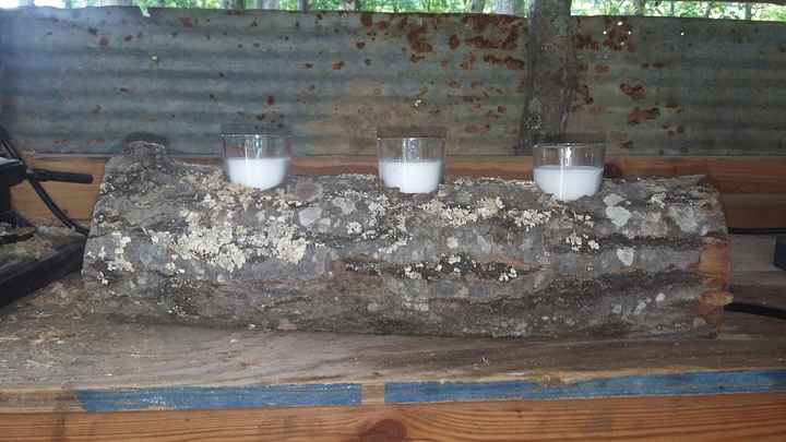 diy Favors and Decor - 1