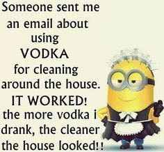 Drunken cleaning and a million other issues