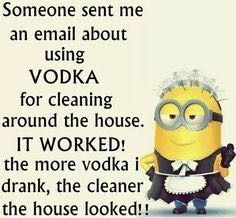 Drunken cleaning and a million other issues