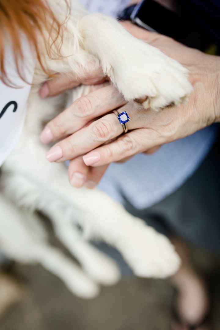 2023 Brides - Show us your ring! - 1